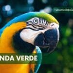 Una paraba de la senda verde