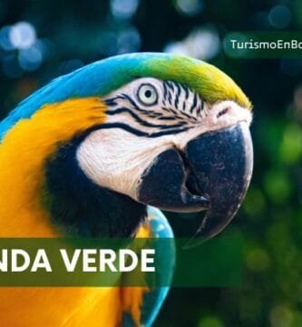 Una paraba de la senda verde
