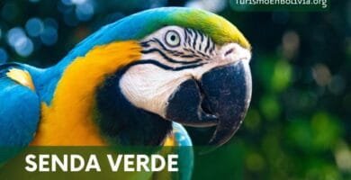 Una paraba de la senda verde