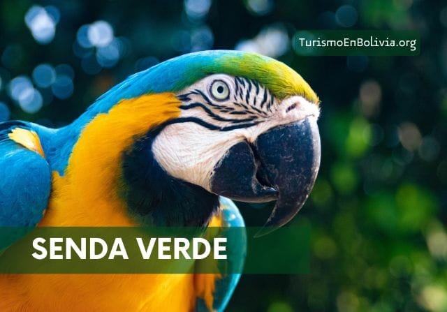 Una paraba de la senda verde